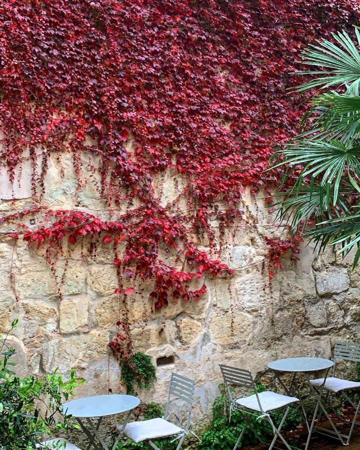 B&B La Maison Galiene Bordeaux Kültér fotó